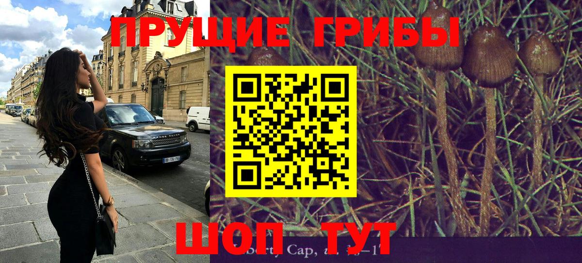 что такое наркотик  Псилоцибиновые грибы прущие грибы  Вход с VPN  Коломна 